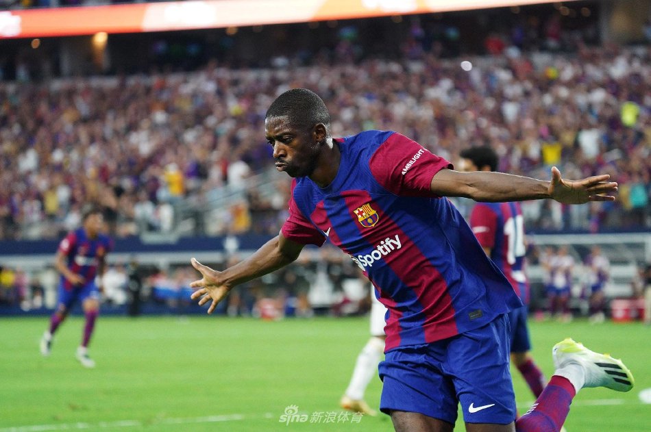 早已扎根人 早已扎根人